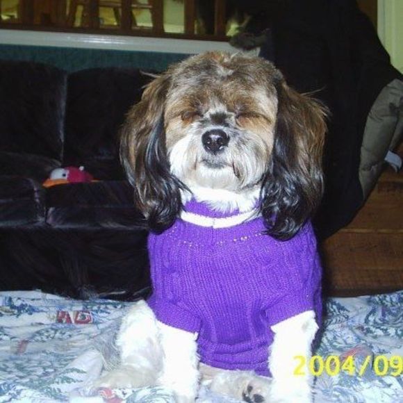 Meet your Posher, Rowena - Picture 1 of 1